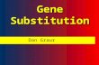 1 Gene Substitution Dan Graur 2 Gene substitution is the process whereby a mutant allele completely replaces the predominant or wild type allele in a.