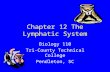 Chapter 12 The Lymphatic System Biology 110 Tri-County Technical College Pendleton, SC.
