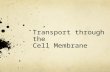 Transport through the Cell Membrane. Passive Transport Movement across a cell membrane that does not require energy 2 examples: Diffusion Osmosis.