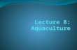 Aquaculture Basics Aquaculture = “refers to the breeding, rearing, and harvesting of animals and plants in all types of water environments including ponds,