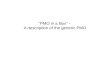 “PMO in a Box” - A description of the generic PMO.