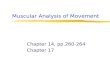 Muscular Analysis of Movement Chapter 14, pp.260-264 Chapter 17.
