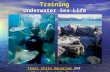 6th Grade Visual Art Training “Underwater Sea Life ” Texas State Aquarium Texas State Aquarium and Alaska Sea Life CenterAlaska Sea Life Center.