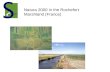 Natura 2000 in the Rochefort Marshland (France). The history of the situation Two different ways of understanding wetland management of Atlantic Marshes.