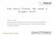 The data flood: We need a bigger boat James A. Foster The Initiative for Bioinformatics and Evolutionary Studies (IBEST) Biological Sciences, Bioinformatics.