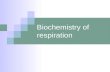 Biochemistry of respiration. Raw materials… Any organic molecule Carbohydrate Lipid Protein.