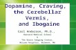 Dopamine, Craving, the Cerebellar Vermis, and Ibogaine Carl Anderson, Ph.D., Harvard Medical School & The Brain Imaging Center, McLean Hospital, Belmont,