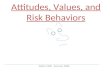 Attitudes, Values, and Risk Behaviors Safety 4900 Summer 2008.