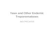Yaws and Other Endemic Treponematoses Jack McCarrick.