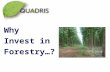 Why Invest in Forestry…?. Woodlands have been a sound investment for centuries.