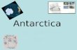 Antarctica. TEMPERATURE So, just how cold is Antarctica? I could just give you the climate data :