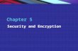 Copyright © 2004 Pearson Education, Inc. Slide 5-1 Chapter 5 Security and Encryption.