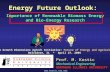 Www.kostic.niu.edu Energy Future Outlook: Importance of Renewable Biomass Energy and Bio-Energy Research Prof. M. Kostic Mechanical Engineering NORTHERN.