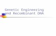 Genetic Engineering and Recombinant DNA. The Origin of Genetic Engineering Biotechnology - the use of living organisms for practical purposes. While many.
