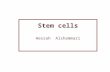 Stem cells Hessah Alshammari. Stem cells are distinguished from other cell types by two important characteristics. They are unspecialized cells capable.