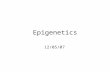 Epigenetics 12/05/07. Epigenetic regulation is critical for cell differentiation.