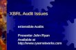 XBRL Audit Issues eXtensible Audits Presenter John Ryan Available at .