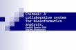 Chinook: A collaborative system for bioinformatics analysis. VanBUG October 2004 Stephen Montgomery.