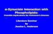 Α-Synuclein Interaction with Phospholipids: Possible Implications for Parkinson’s Disease Literature Seminar by Jessica L. Anderson.