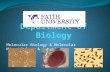 Molecular Biology & Molecular Microbiology & Genetics.