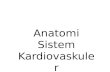 Anatomi Sistem Kardiovaskuler By dr.Rosaria Indah.