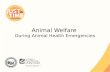 Animal Welfare During Animal Health Emergencies. Animal Welfare ●Ethical responsibility ●Ensuring animal well being ●Physical and mental ●Consideration.