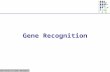 CS262 Lecture 9, Win07, Batzoglou Gene Recognition.