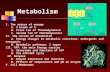 Metabolism I. The nature of energy A. 2 kinds of E B. First law of thermodynamics C. Second law of thermodynamics II. The nature of metabolism A. Energy.