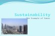 The Example of Dubai. What is Sustainability? Sustainability or Sustainable Development is development that meets the needs of the present without compromising.