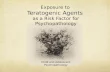 Exposure to Teratogenic Agents as a Risk Factor for Psychopathology Child and Adolescent Psychopathology.