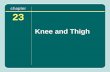 Chapter 23 Knee and Thigh. The Knee The knee is one of the most frequently injured joints in athletics. The forces applied to it during sport activities.