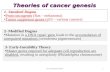 Theories of cancer genesis 1 1- Standard Dogma Proto-oncogenes (Ras – melanoma) Tumor suppressor genes (p53 – various cancers) 2- Modified Dogma Mutation.