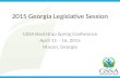 2015 Georgia Legislative Session GSSA Bootstrap Spring Conference April 15 – 16, 2015 Macon, Georgia.