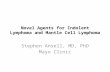 Novel Agents for Indolent Lymphoma and Mantle Cell Lymphoma Stephen Ansell, MD, PhD Mayo Clinic.