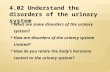 What are some disorders of the urinary system?  How are disorders of the urinary system treated?  How do you relate the body’s hormone control to the.