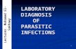 LABORATORY DIAGNOSIS OF PARASITIC INFECTIONS Lecturer. Mohamed El-Sakhawy 1.