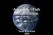 Aquatics – Fish Identification Texas Envirothon 2015 Fish Identification.