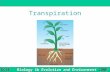 B1b 5.2 Adaptation in plants Biology 1b Evolution and Environment GCSE CORE AQA Science © Nelson Thornes Ltd 2006 1 Transpiration.