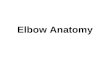 Elbow Anatomy. Bones of the Elbow Humerus –Medial and Lateral Epicondyle Ulna –Olecranon Process Radius –Head.