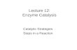 Lecture 12: Enzyme Catalysis Catalytic Strategies Steps in a Reaction.