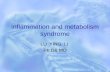 Inflammation and metabolism syndrome LU YING LI Ph.D& MD.