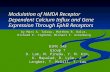 Modulation of NMDA Receptor Dependent Calcium Influx and Gene Expression Through EphB Receptors by Mari A. Takasu, Matthew B. Dalva, Richard E. Zigmond,