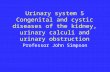 Urinary system 5 Congenital and cystic diseases of the kidney, urinary calculi and urinary obstruction Professor John Simpson.