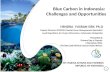 Blue Carbon in Indonesia: Challenges and Opportunities HENDRA YUSRAN SIRY, Ph.D Deputy Director RCMFSE/Coastal Zone Management Specialist/ Lead Negotiator.