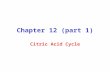 Chapter 12 (part 1) Citric Acid Cycle. Gylcolysis TCA Cycle Electron Transport and Oxidative phosphorylation.