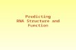 Predicting RNA Structure and Function. 1989 2006 2009.