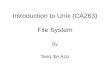 Introduction to Unix (CA263) File System By Tariq Ibn Aziz.