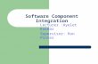 Software Component Integration Lecturer :Ayelet Kaidar Supervisor: Ron Pinter.
