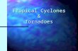 Tropical Cyclones & Tornadoes. Formation of Tropical Cyclones n Warm ocean waters (> 26.5°C) throughout a sufficient depth (> 50 m) n An atmosphere is.