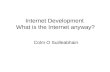 Internet Development What is the Internet anyway? Colm O Suilleabhain.